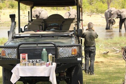 14 Days Mobile Camping Safari:Maun, Central Kalahari -Moremi Game Reserve- ...
