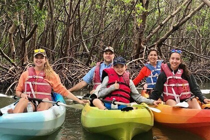 Kayak Tour Barefoot Beach Preserve Magical Mangrove Estuary Adventure