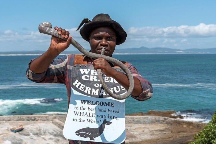 The Hermanus Whale Crier