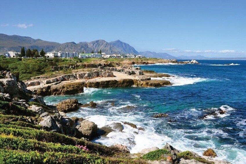 From Cape Town: Full day tour to Hermanus