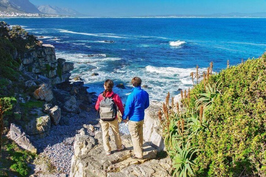 Cliff Top Walk along Walker Bay