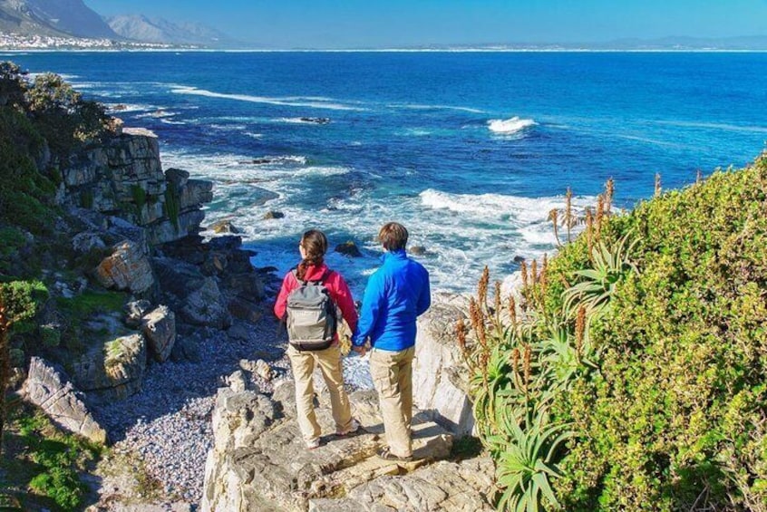 Cliff Top Walk along Walker Bay