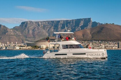 1 Hour Coastal Catamaran Cruise from Cape Town