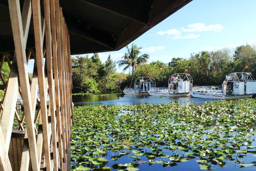 Everglades Airboat Adventure Tour