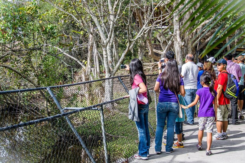 Everglades Airboat Adventure Tour