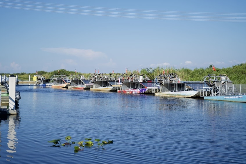 Everglades Airboat Adventure & Biscayne Bay Cruise