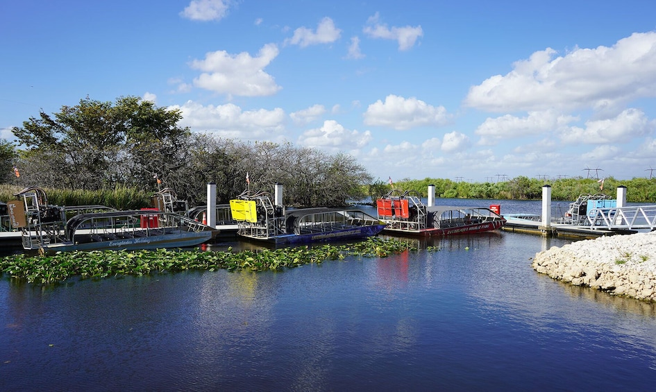 Everglades Airboat Adventure & Biscayne Bay Cruise