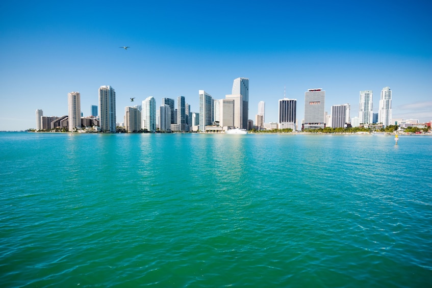 Everglades Airboat Adventure & Biscayne Bay Cruise