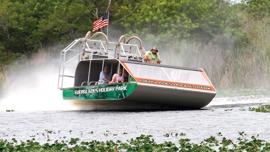 Everglades Airboat Adventure & Biscayne Bay Cruise