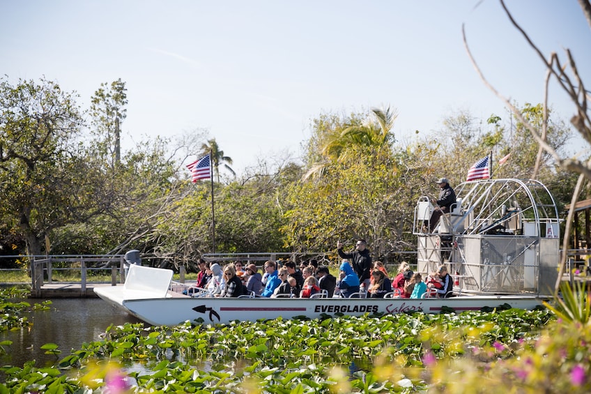 Foto 4 van 9. Everglades Airboat Adventure & Biscayne Bay Cruise