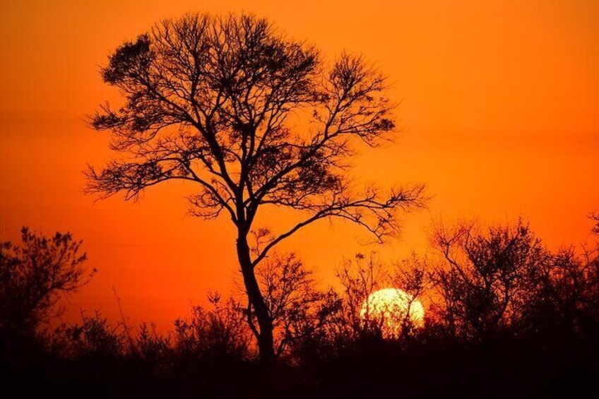 Sun Rise Kruger with Africa Moja Tours