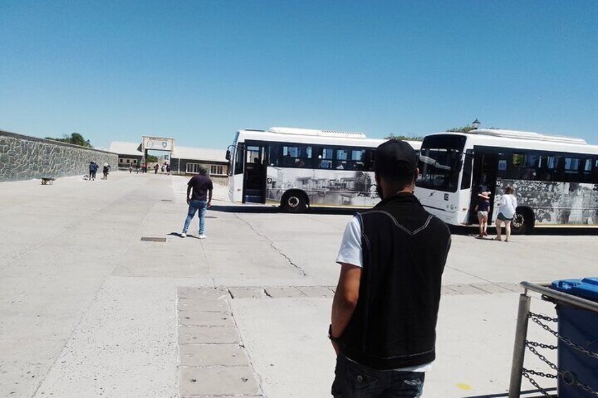 Half day Robben Island Tour.