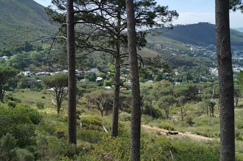 Cape Town City Tour including Table mountain, Lion's head
