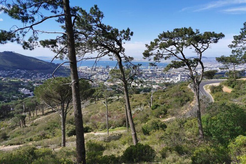 Cape Town City Tour including Table mountain, Lion's head