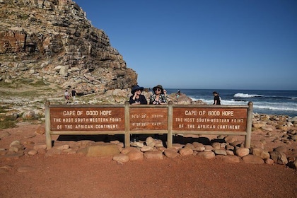 Private Tour: Cape Of Good Hope & Wine Tasting