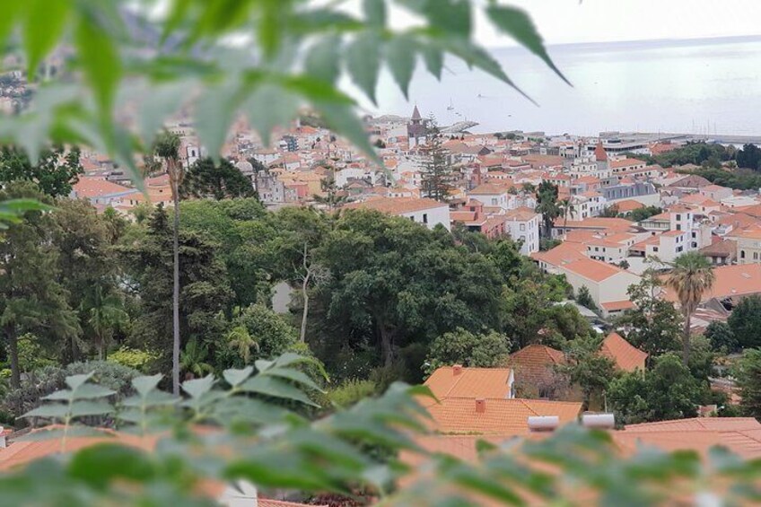 Private Tuk Tuk to Monte Tour from Funchal