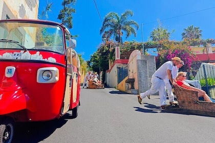 Private Tuk Tuk Tour to Old Town + Monte in Funchal