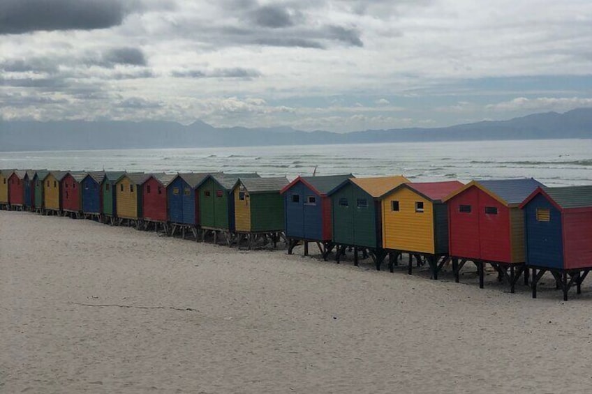 Three Day Private tour: Table Mountain, City, Cape Peninsula and Winelands