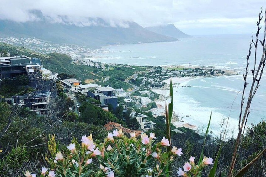 2-Day Private Tour: The Cape Pensinsula & Winelands from Cape Town