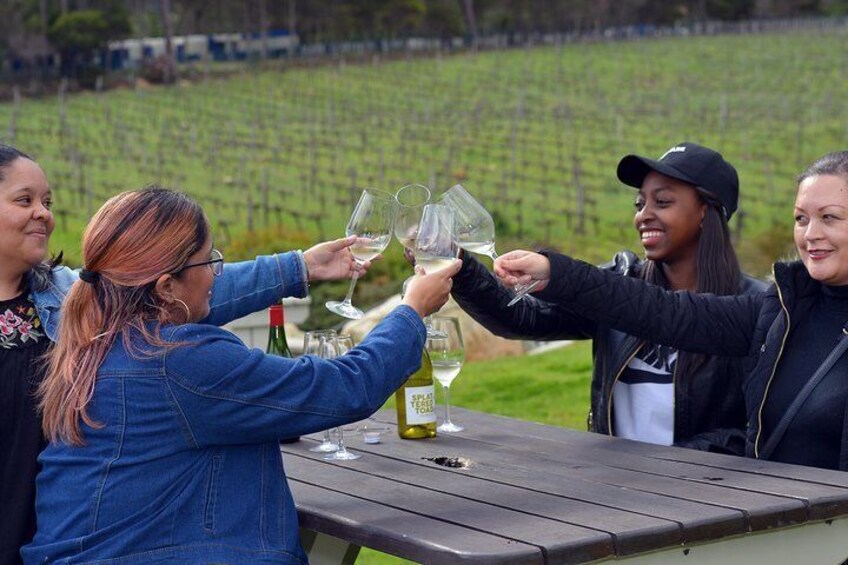 Wine tasting - Cape Winelands