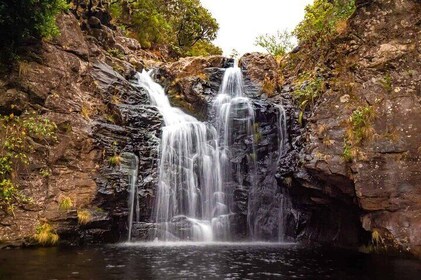 Walk - Levada of Alecrim