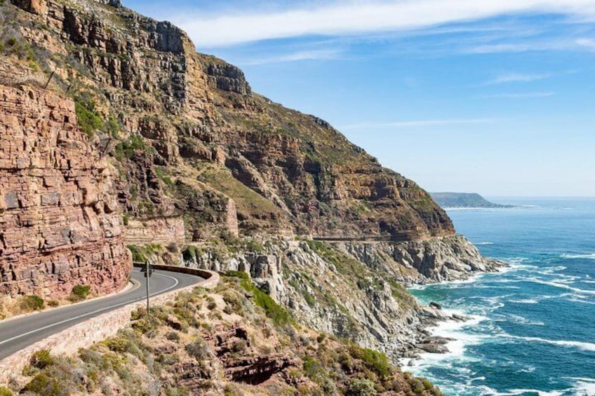 Cape of Good Hope Small Group Guided Tour/scenic tour