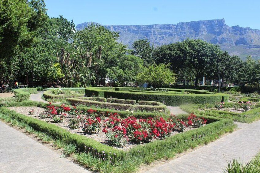 Gardens flowers