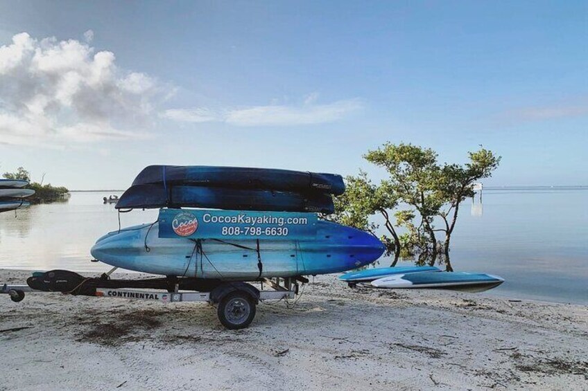 Wildlife Refuge Manatee, Dolphin & Mangrove Kayak or Paddleboarding Tour!