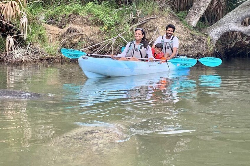 Wildlife Refuge Manatee, Dolphin & Mangrove Kayak or Paddleboarding Tour!