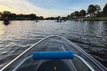 Clear Kayak Tour of Tarpon Springs | Manatee Season