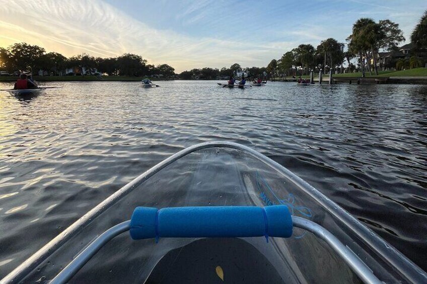 Taking in the views of the historic bayous 