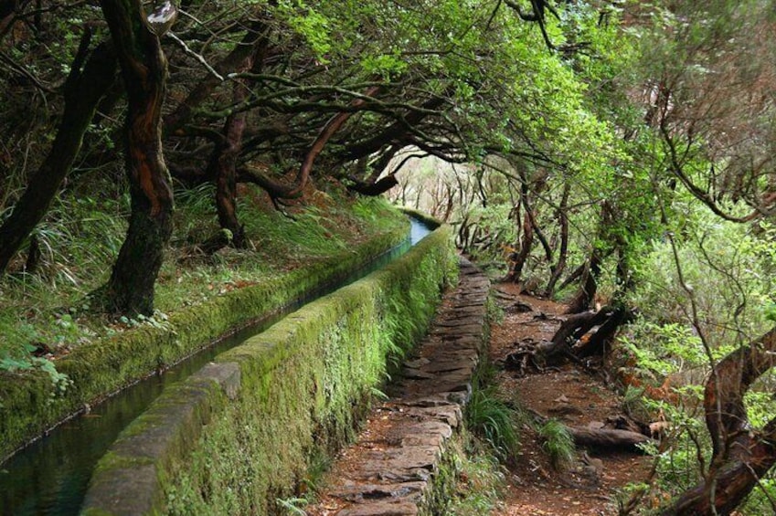 Levada do Rabaçal / 25 Fountains