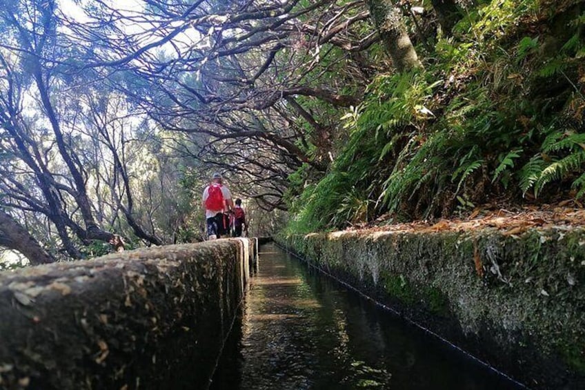 Levada do Rabaçal / 25 Fountains