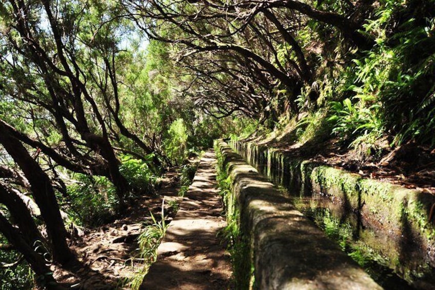 Rabaçal - Levada das 25 Fontes e Risco