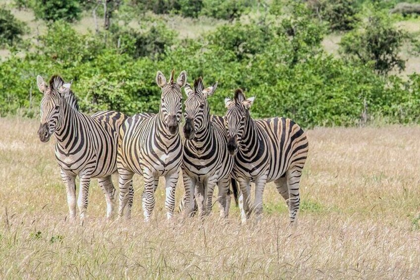 Maputo Special Reserve 3 Days/ 2 Nights