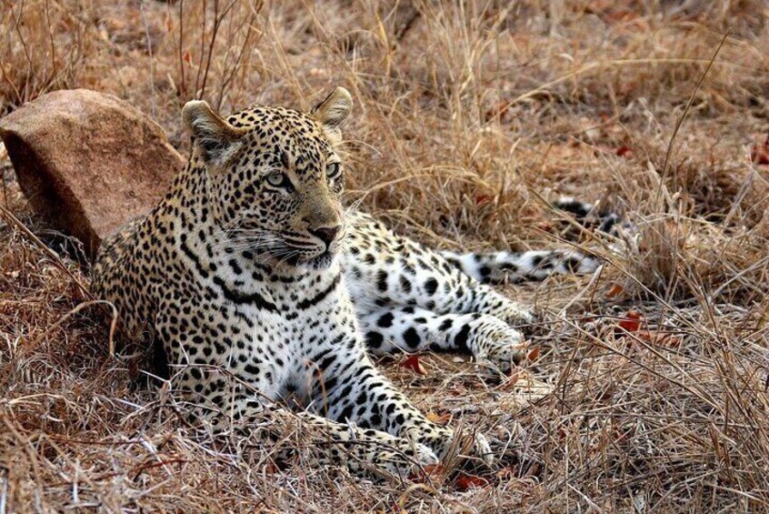 Maputo Special Reserve 3 Days/ 2 Nights