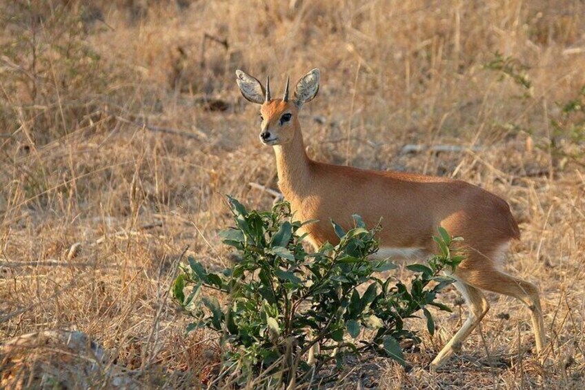 Maputo Special Reserve 3 Days/ 2 Nights