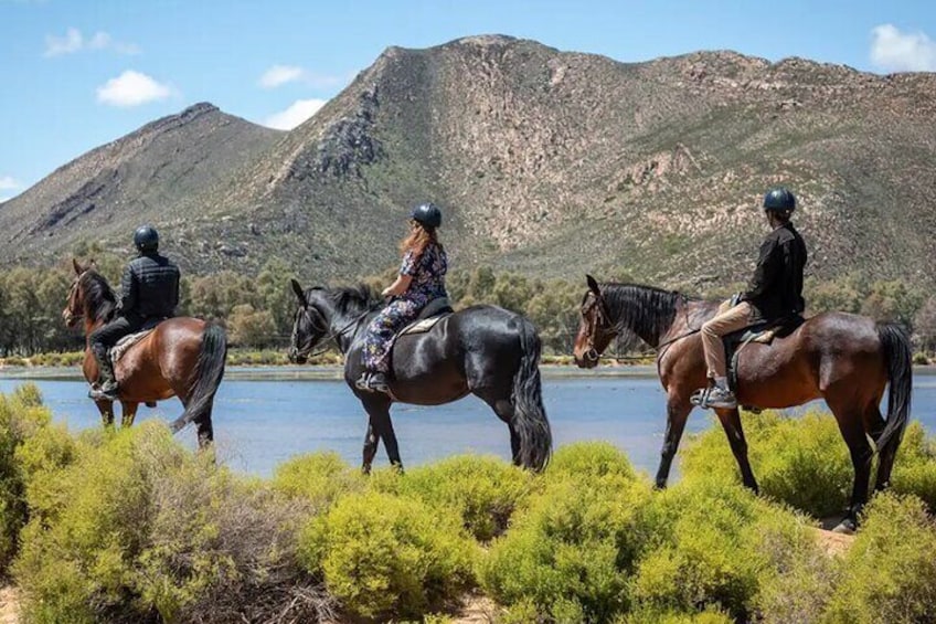 Cape Town Big 5 Safari on Horseback Riding at Aquila Game Reserve