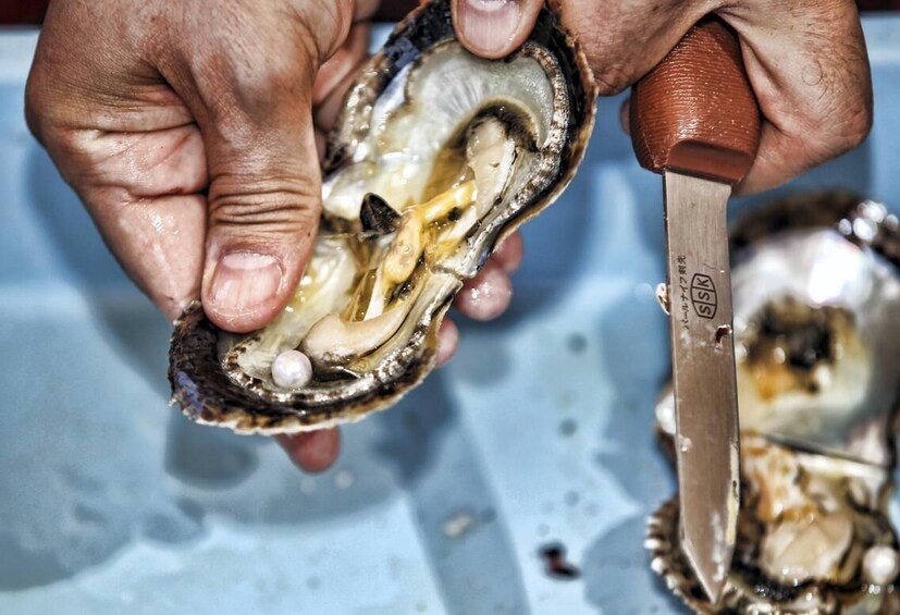 Pearl Farm Tour in Ras Al Khaima