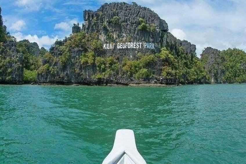 Million years old rock @Kilim Geoforest