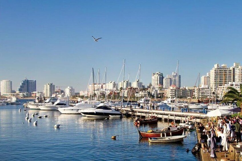 Full day City Tour Punta del Este - From Montevideo, Uruguay