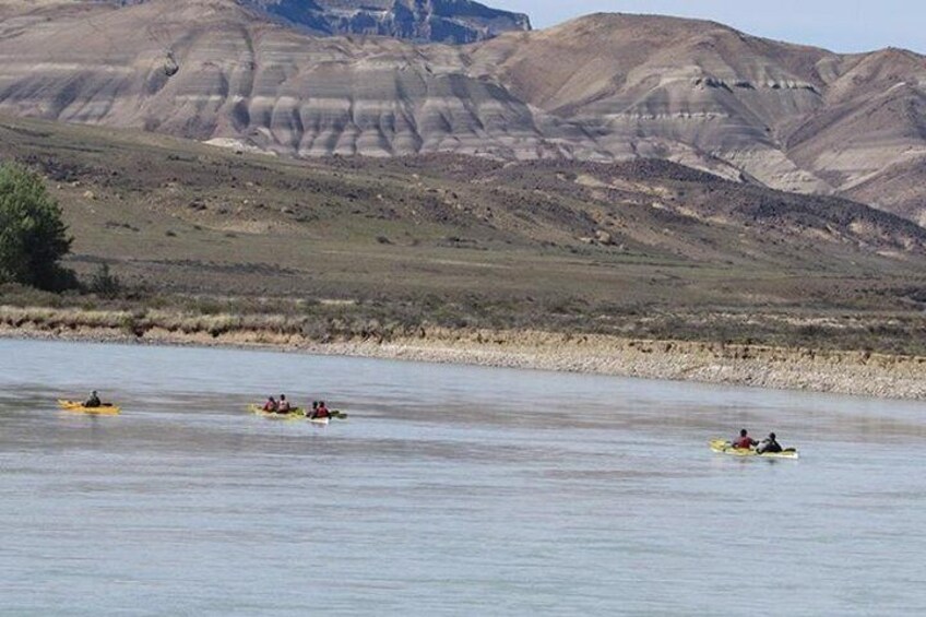 Full day kayaking in Río La Leona - Calafate
