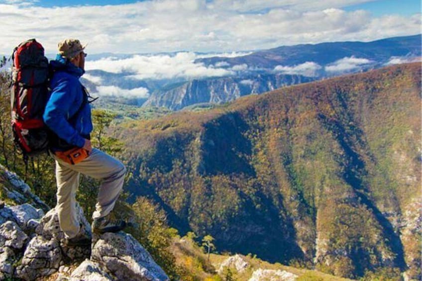 Full Day Trip from Belgrade: The Drina River House And Tara Park Tour