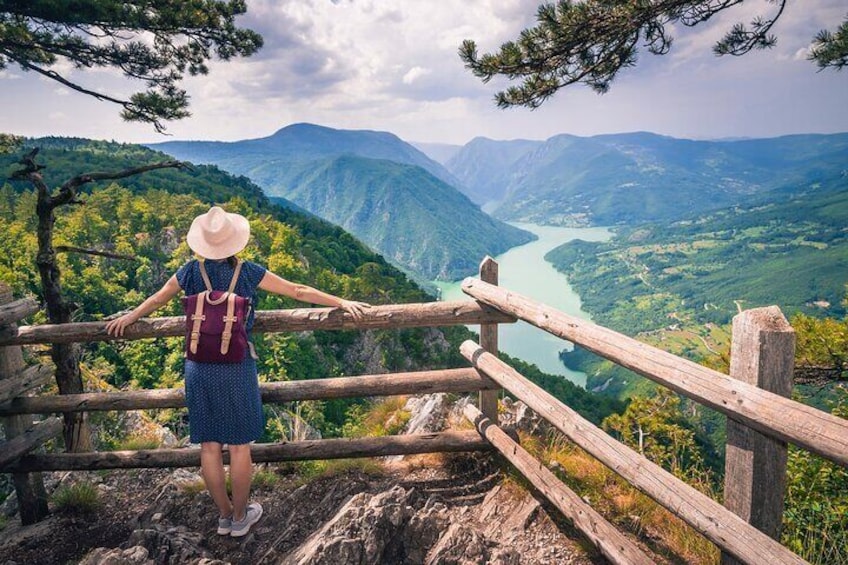 Full Day Trip from Belgrade: The Drina River House And Tara Park Tour