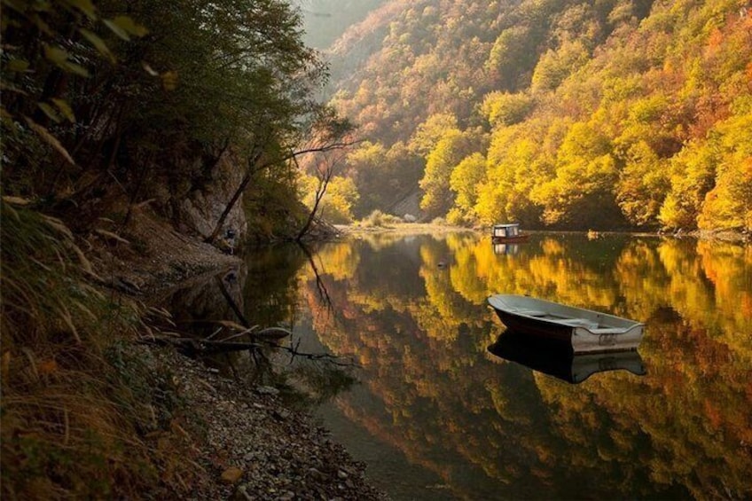 Full Day Trip from Belgrade: The Drina River House And Tara Park Tour