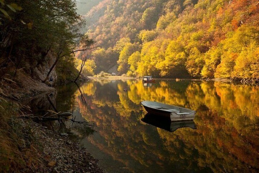 Serbia Travel, Novi Sad, Tara Park, Uvac Canyon, Stendnica Monastery, 4 Days Tour