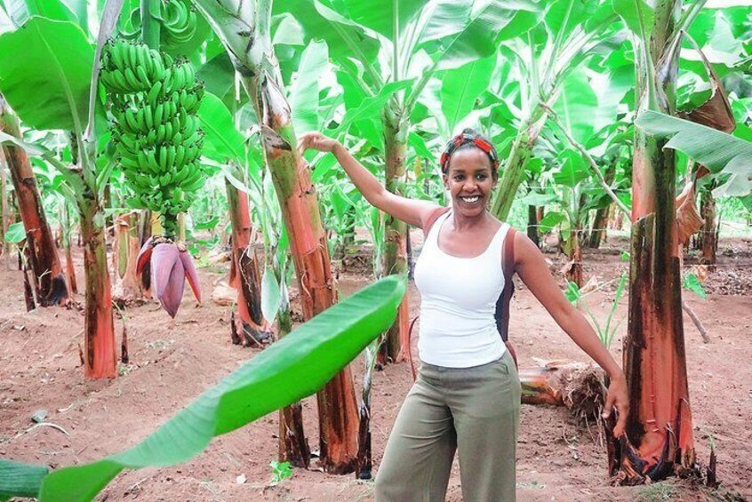 Like Locals: Banana Plantation, Botanical Garden and Cuscuz with locals