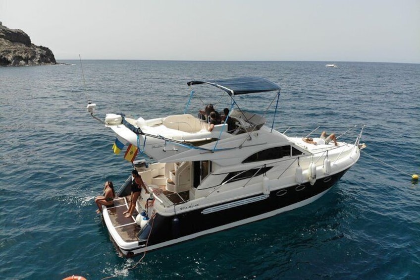 Dolphin Searching Tour in Puerto de Mogán ("KEEPER UNO" Boat)