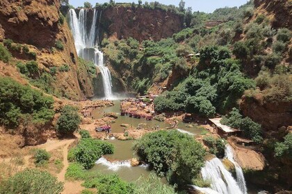 Ouzoud Waterfall & Middle Atlas Mountain Full-Day Tour from Marrakech