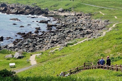 Sanriku Reconstruction National Park Trekking and Fisherman's Lunch Tour